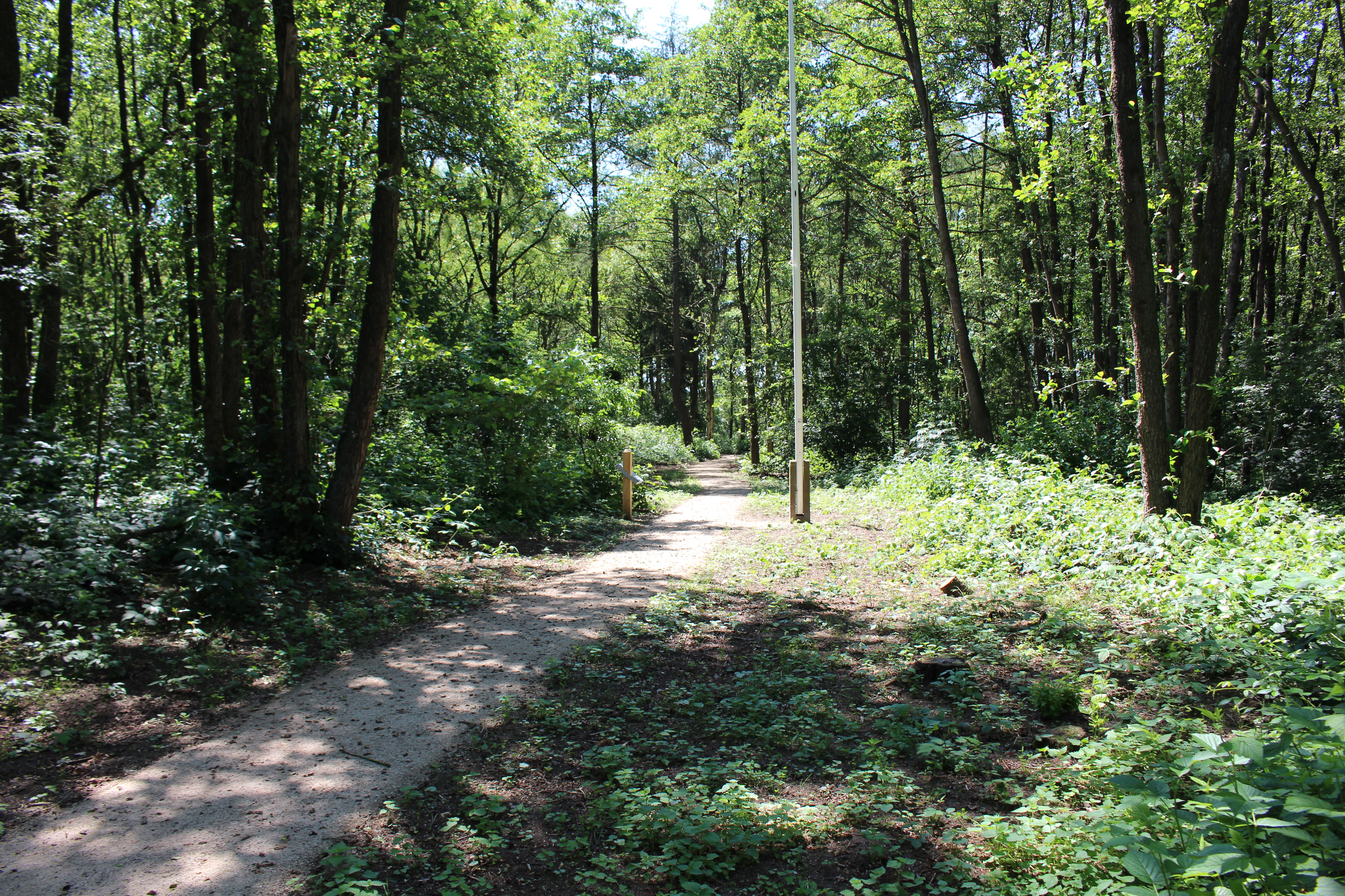 Appèlplaats met rechts van het pad de niet originele vlaggenmast. Foto: marjolijn kok.