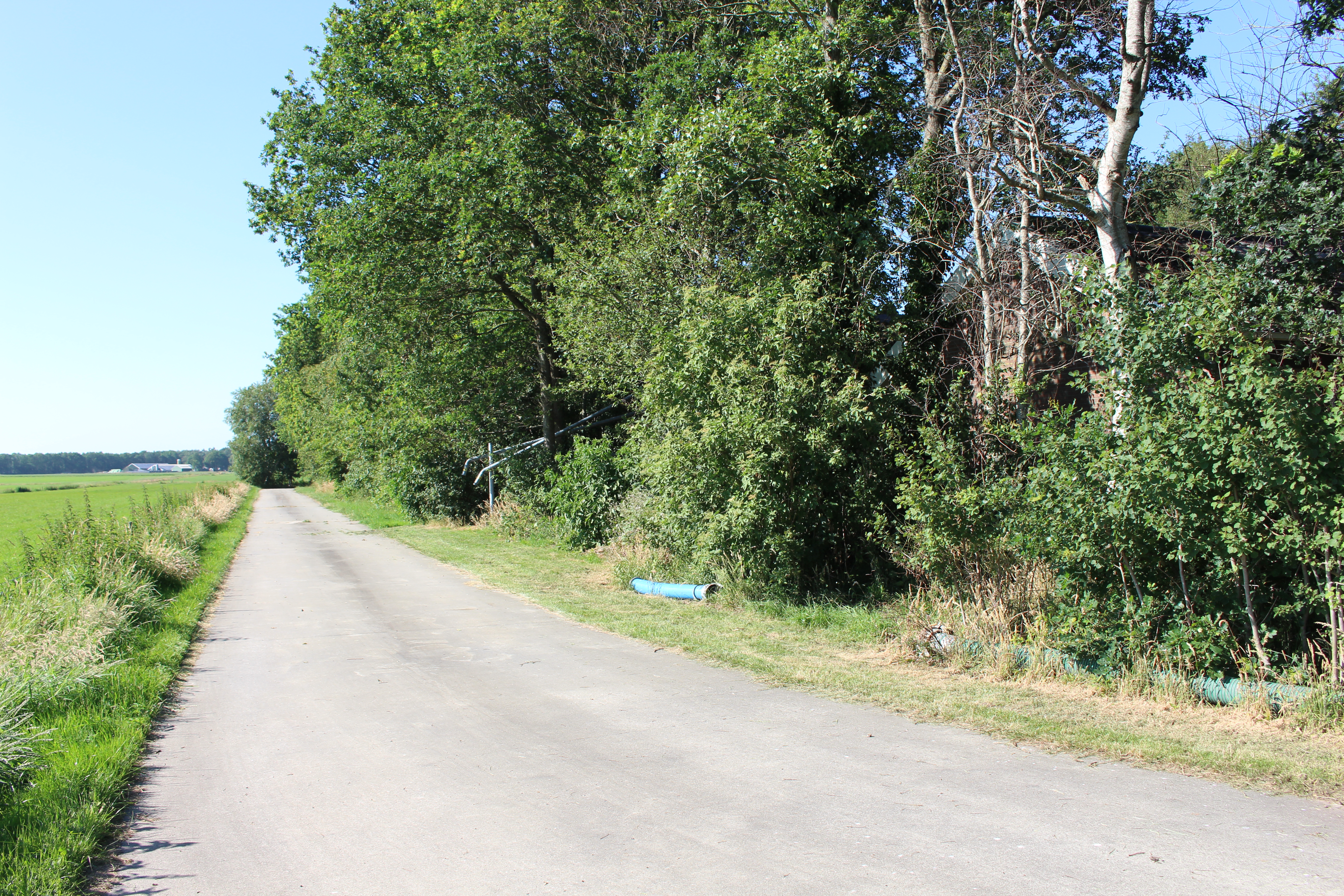 Bossage om het terrein van kamp Geesbrug. Foto: marjolijn kok.