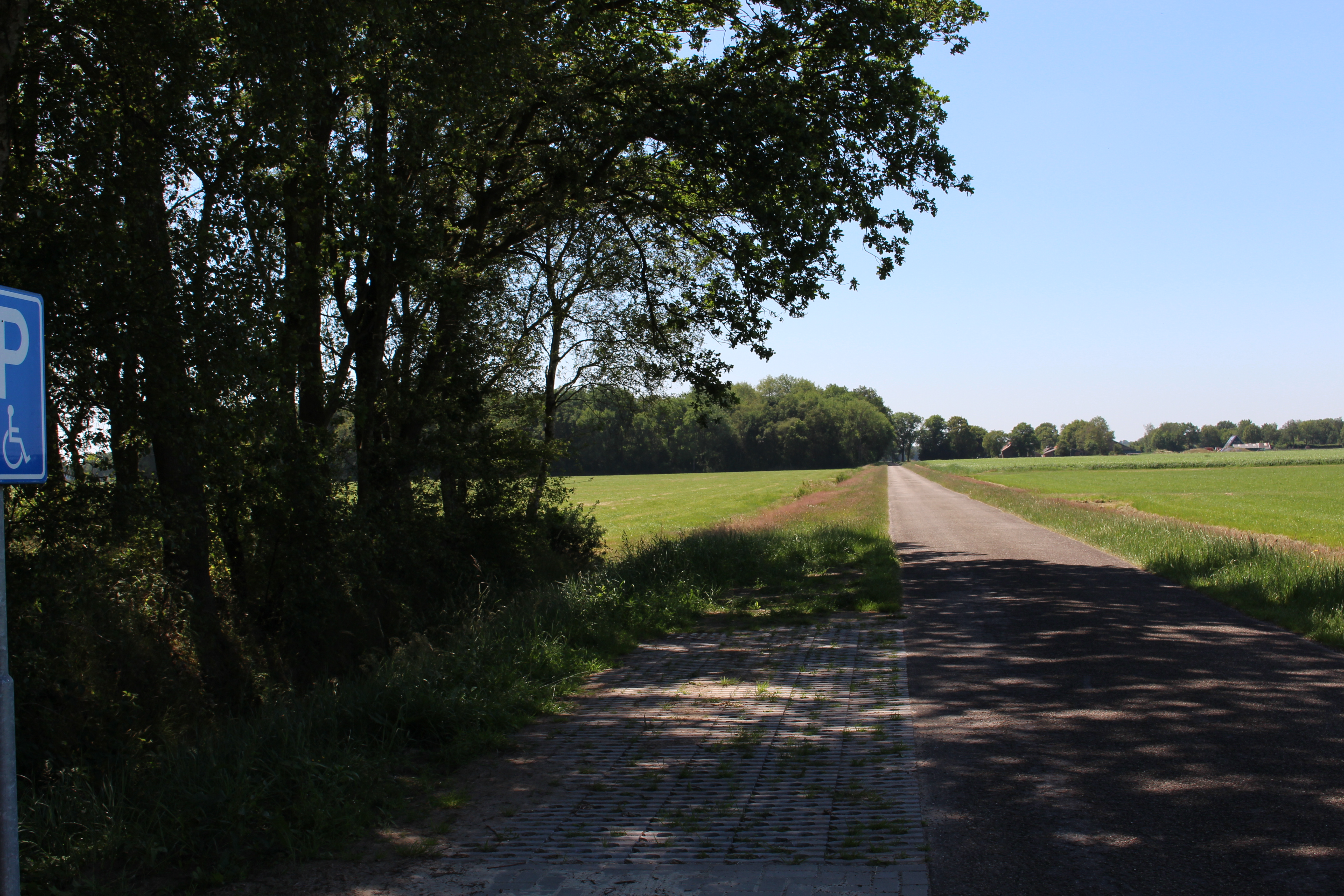 Kamp Oranje gezien vanaf de parkeerplaats van kamp Ybenheer. Foto: marjolijn kok