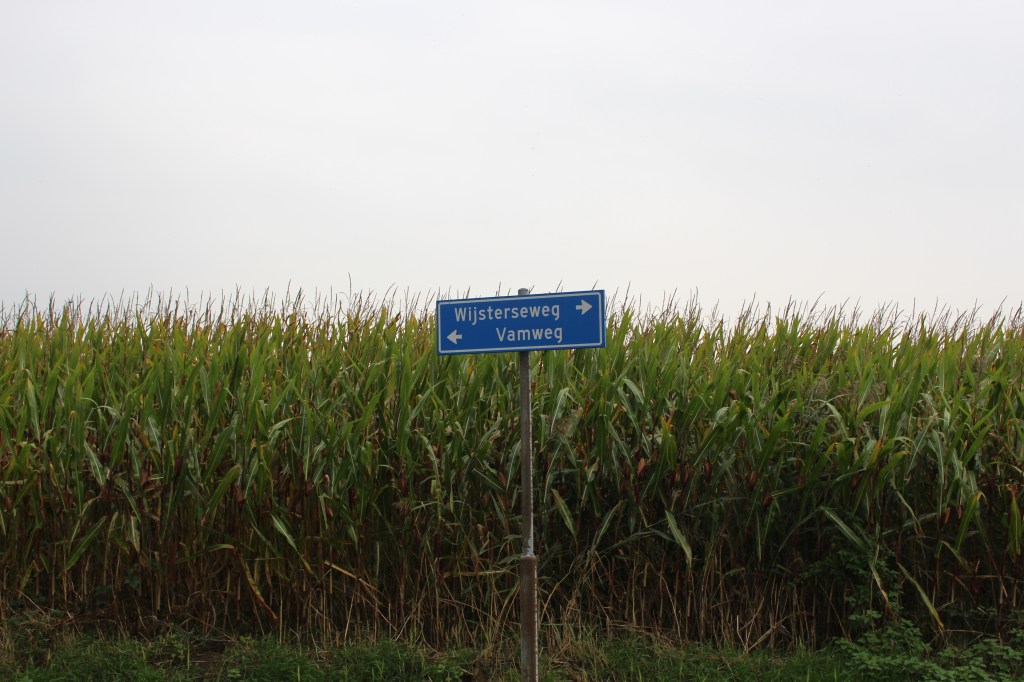 De locatie van kamp Stuifzand op de overgang van de Wijsterseweg naar de Vamweg. Foto: marjolijn kok.