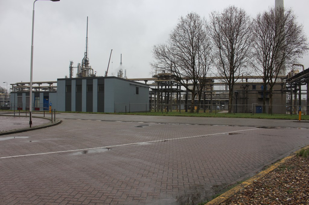Blik op de locatie van het woonoord Graetheide.  Foto: marjolijn kok.