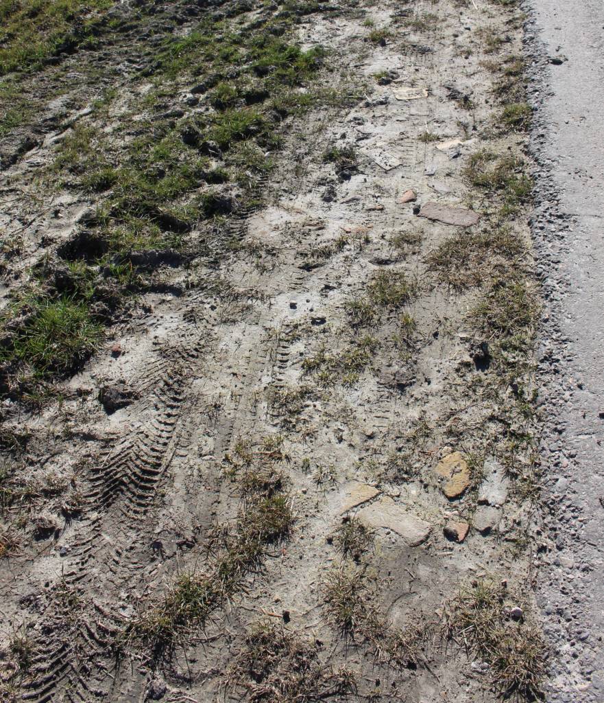 Wat puin bij de oprit naar het land, maar dit kan overal vandaan komen. Foto: marjolijn kok.