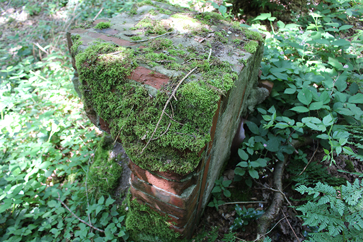 Archeologische resten in het Molukse woonoord Wyldemerck.
