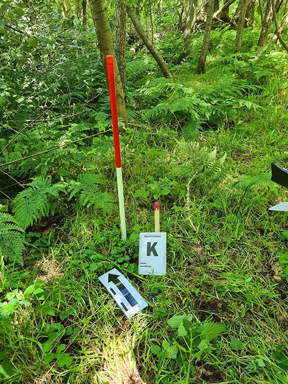 De locatie van barak K in Moluks woonoord Wyldemerck aangegeven met piket, foto: Mohammad Lessy.